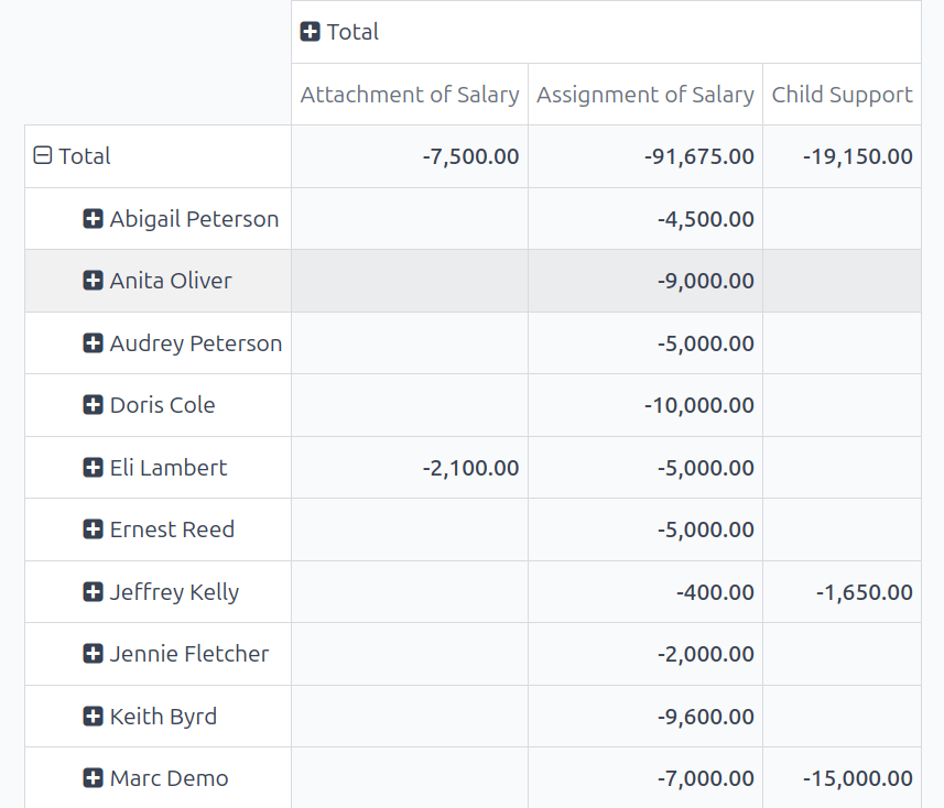 The Attachment of Salary report that shows all salary garnishments in a condensed view.